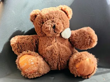 Peluche Ours Marron Brun Florence Foresti 2013 Beauty succès  20 cm