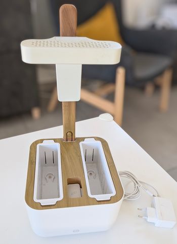 Jardin d'intérieur plantes aromatiques