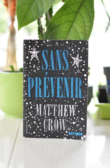 Sans prévenir - Matthew Crow - be - deux dessins à l'intérieur
