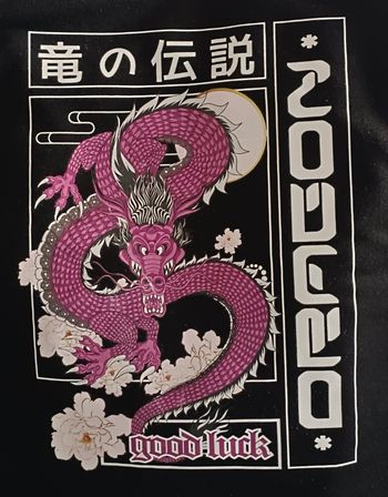 Sweat shirt / Pull Dragon