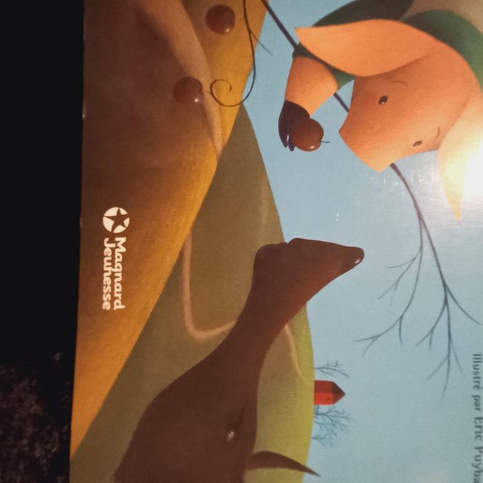 Livre les trois petits cochons - photo numéro 4