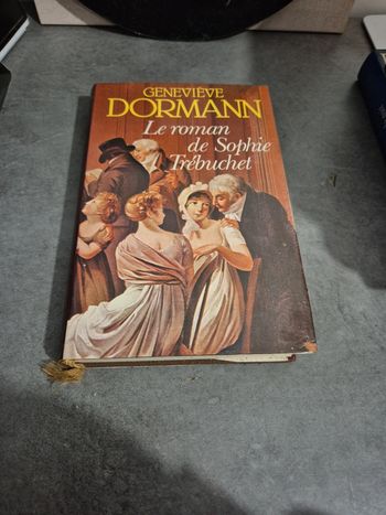le roman de Sophie trébuchet