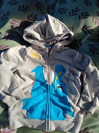 Gilet zippé dragon 🐉 4 ans