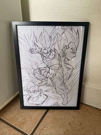 Cadre dragon ball
