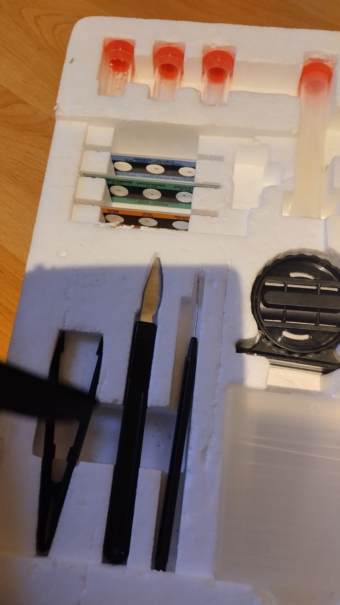 Microscope enfant - photo numéro 5