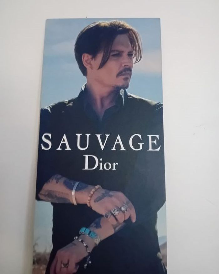 Plv Dior - photo numéro 2