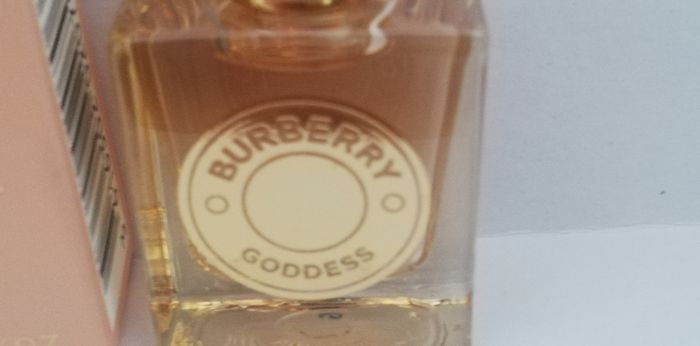 Miniature burberry goddess - photo numéro 2