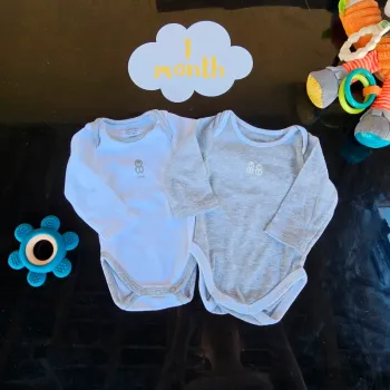 Lot 2 bodies Obaibi