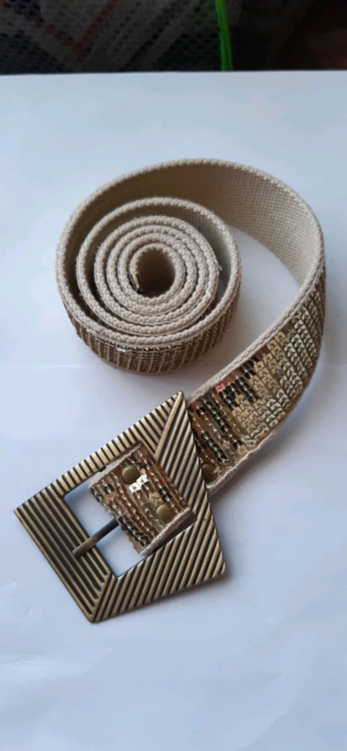 Ceinture dorée - photo numéro 7