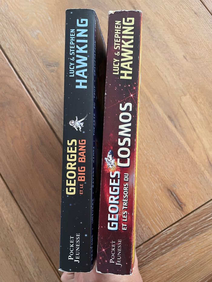 Lot 2 livres série Georges Hawking - photo numéro 3