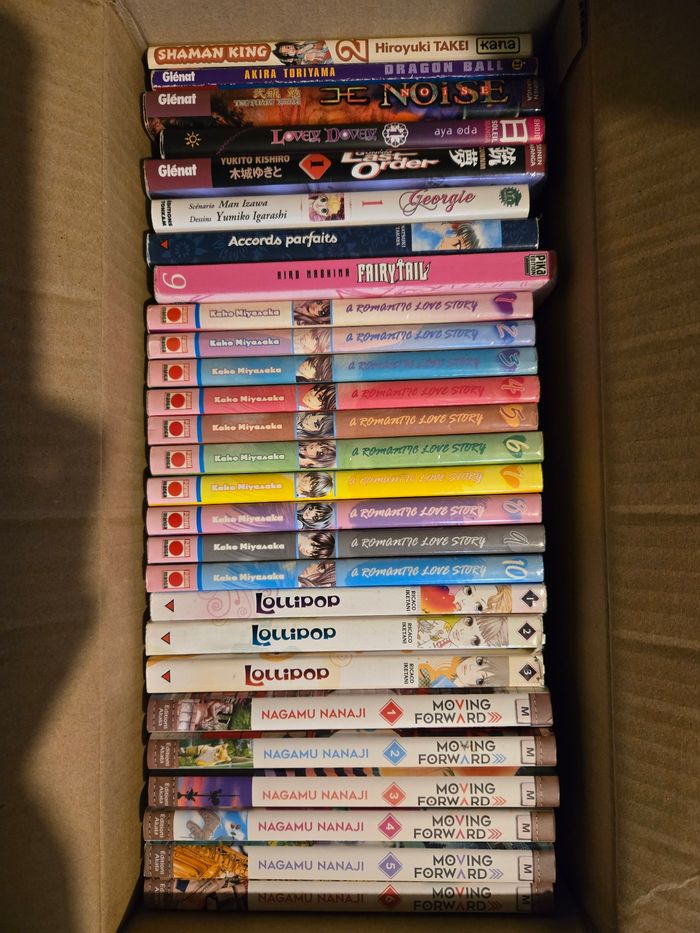 Lot 27 mangas