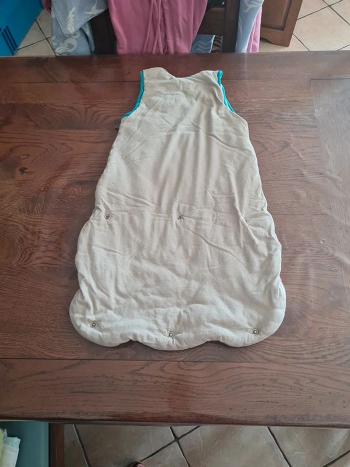 Gigoteuse 0-6mois - photo numéro 3