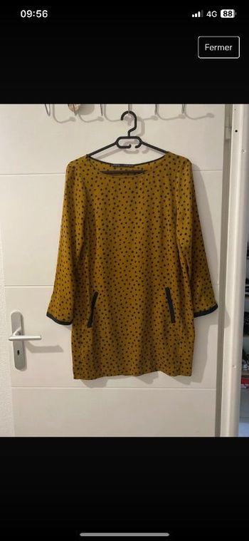Robe zara