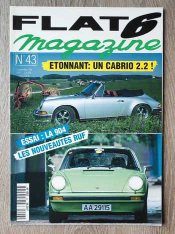 Porsche Flat 6 n°43