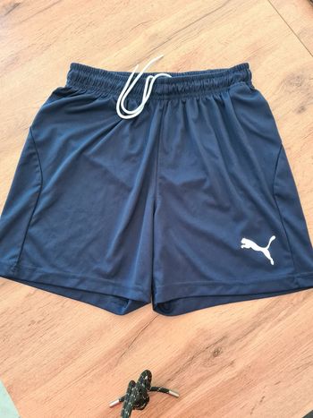 Short Puma