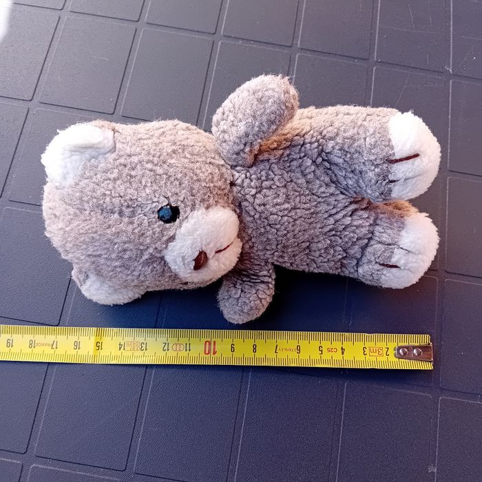 Nounours - photo numéro 4