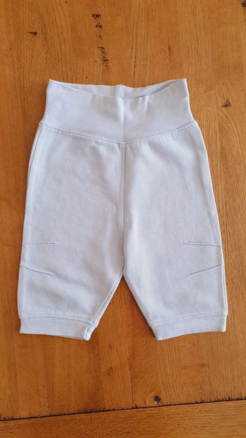 Pantalon style jogging, couleur bleu ciel