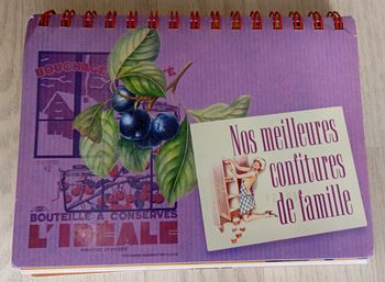 Livre Nos meilleures confitures de famille France Loisirs