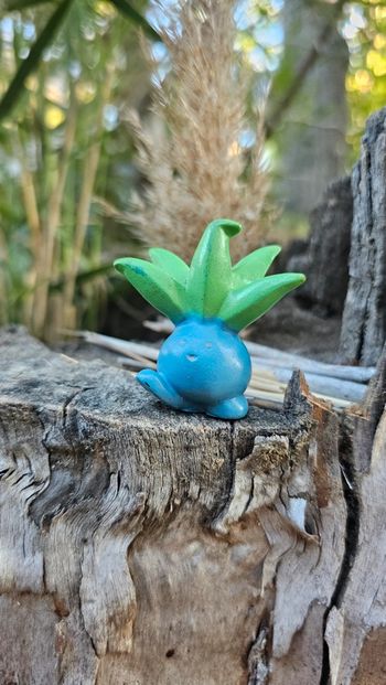 Super figurine Pokemon Nintendo bondai mystherbe