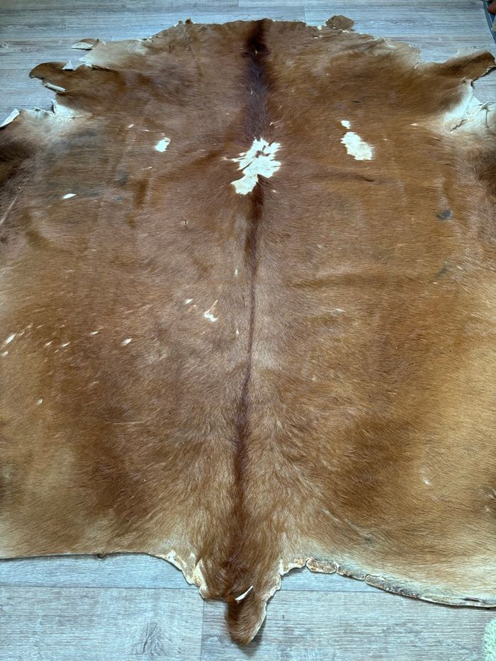 Tapis de vache - photo numéro 6