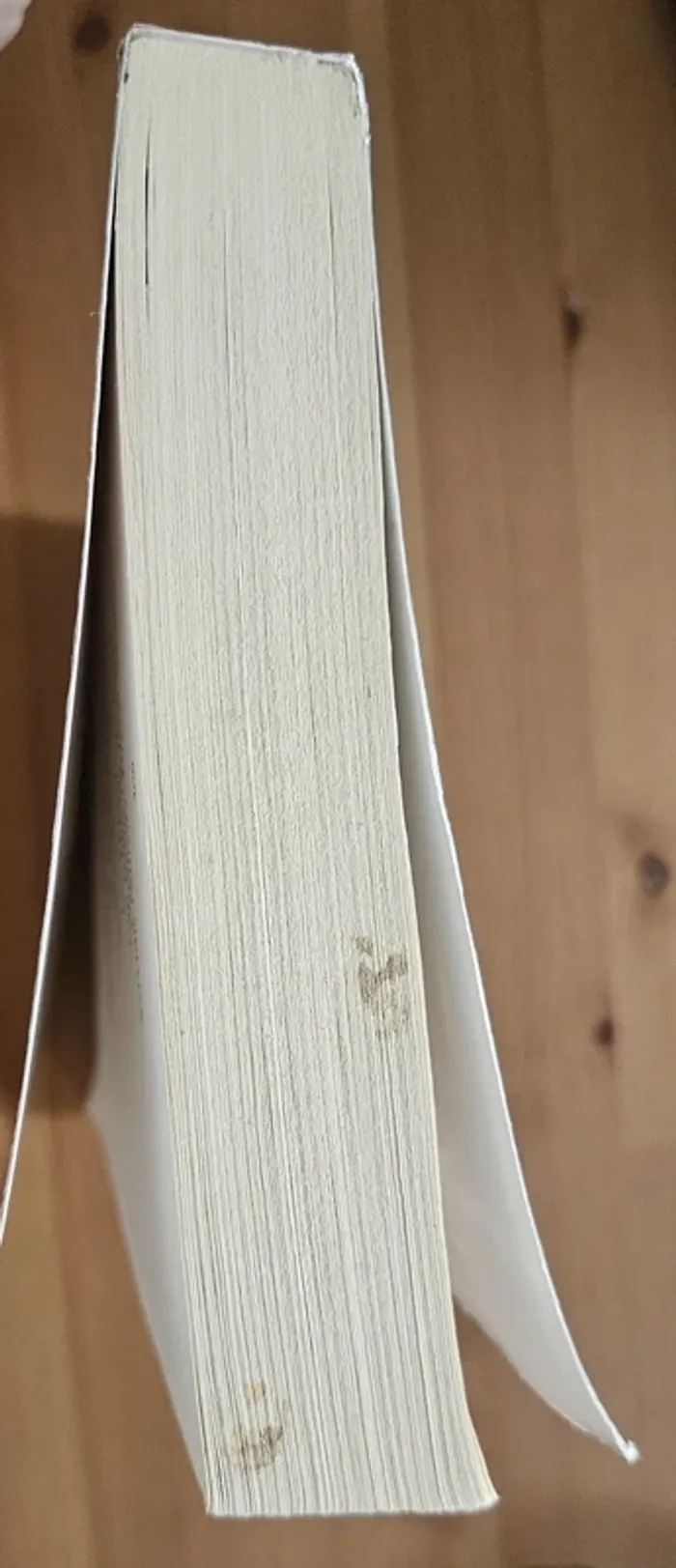 Livre - Felix Platter et les conspirateurs - photo numéro 6
