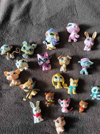 PetShop sans aimant