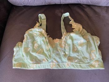 Soutien gorge vers anis 115f