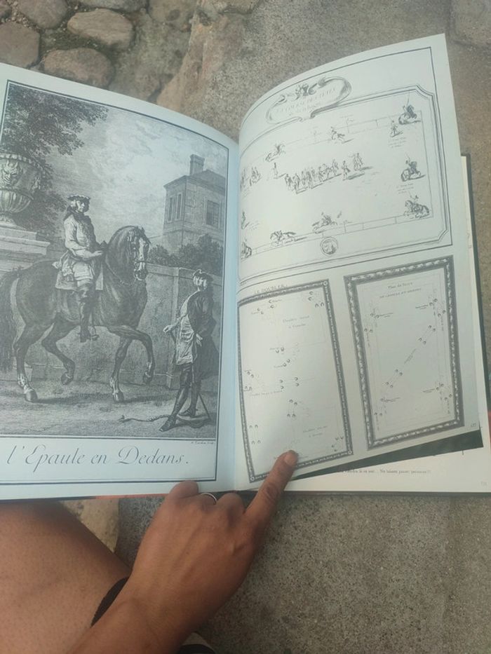Livre la splendeurs du cheval - photo numéro 20