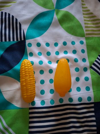 Lot maïs x2 pour dînette 