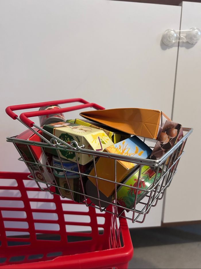 Caddie + panier + courses - photo numéro 4