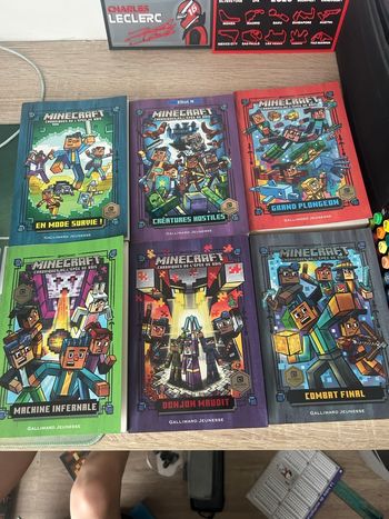 Lot livre minecraft 