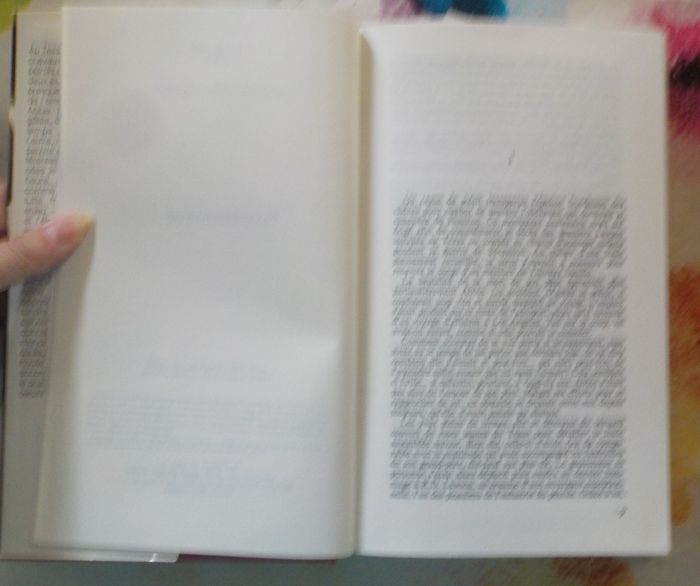 L'HERITIERE de Janet DAILEY Ed. France Loisirs - photo numéro 6