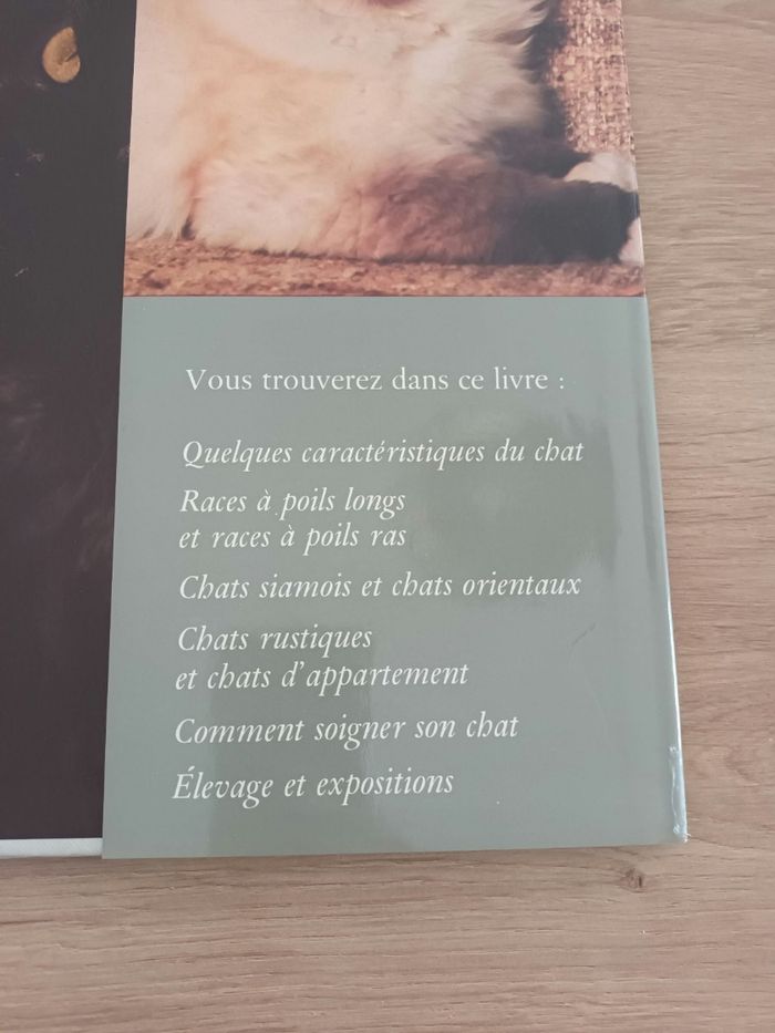 La passion des chats - photo numéro 7