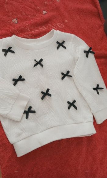 pull papillons