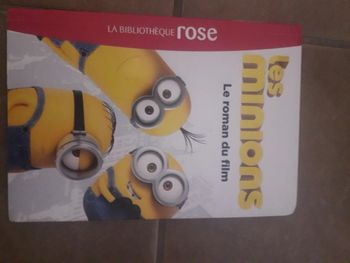 livre bibliothèque rose