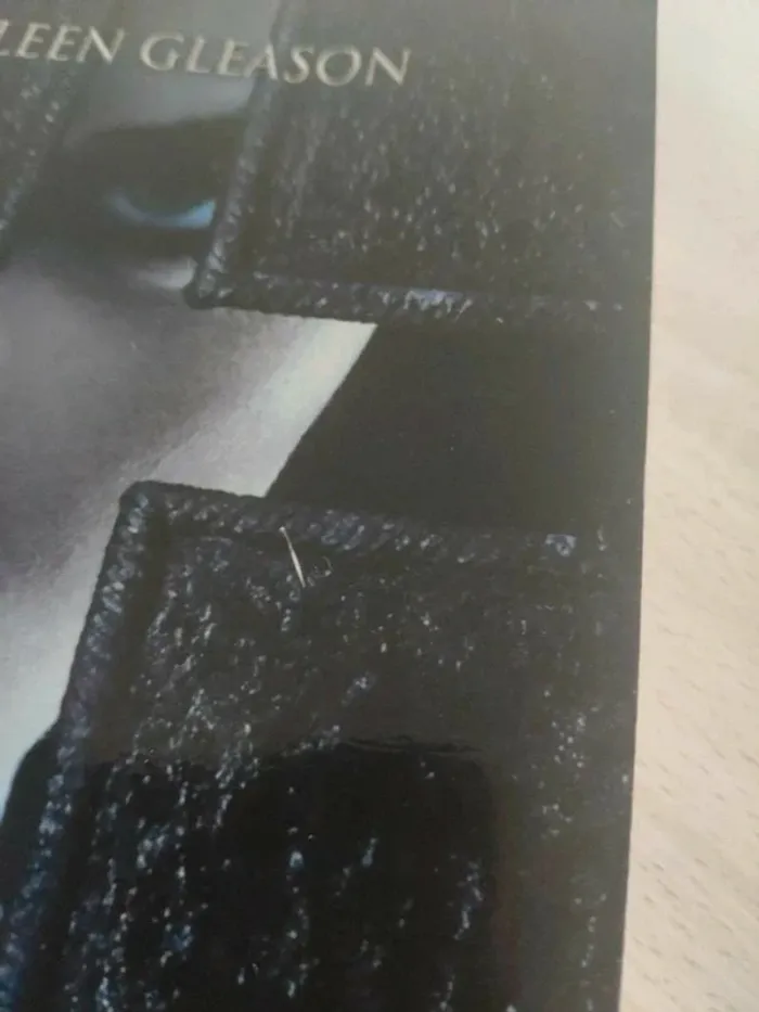 Livre grand format Brûlure vampire Chroniques Gardella tome 4 Gleason - photo numéro 5