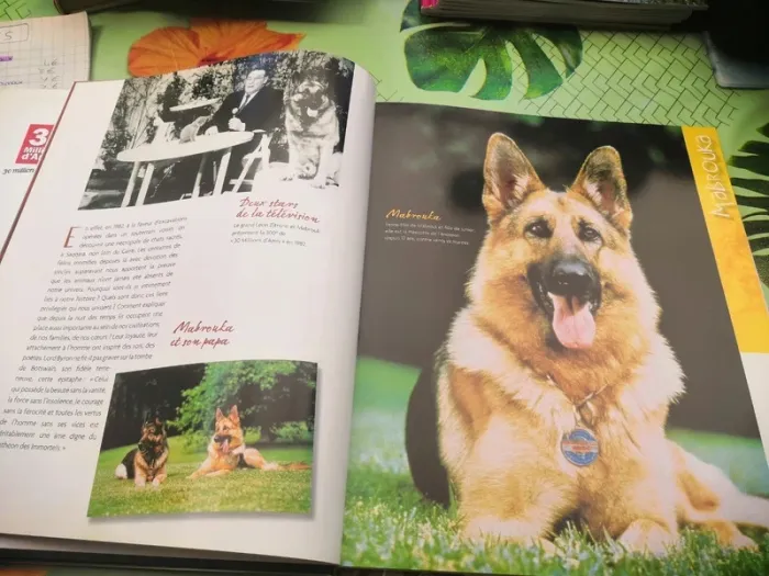 Livre 30 millions d'amis - Histoires de stars et de leurs animaux - photo numéro 5