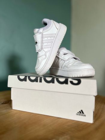 Adidas 🤍 Hoops 3.0 CF I – Pointure 24