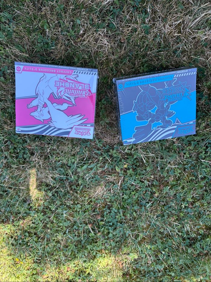 Lot 2 etb Pokémon EV10.5 – Flamme Blanche & Foudre Noire