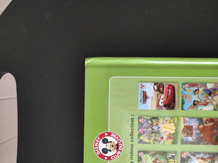 Livre enfant – Le voyage d’Arlo 🦕 - photo numéro 4