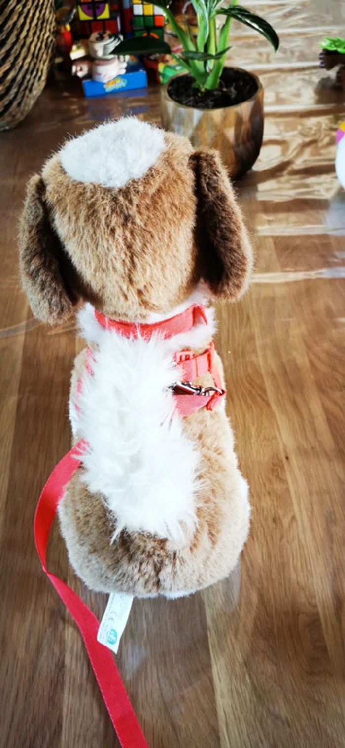 Chien billy vintage - photo numéro 2