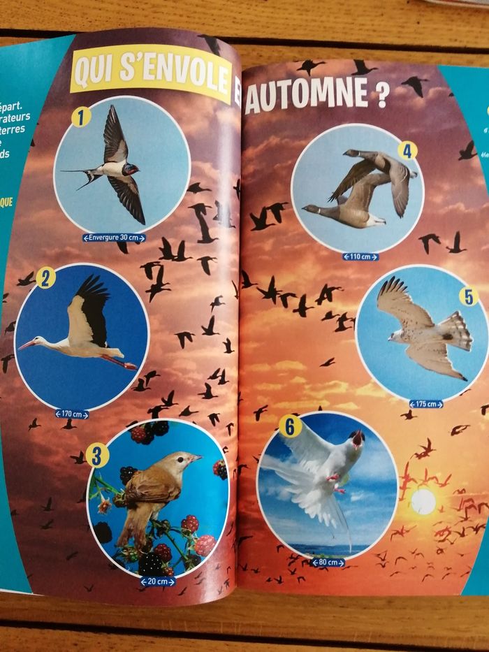 Revue wapiti - photo numéro 2