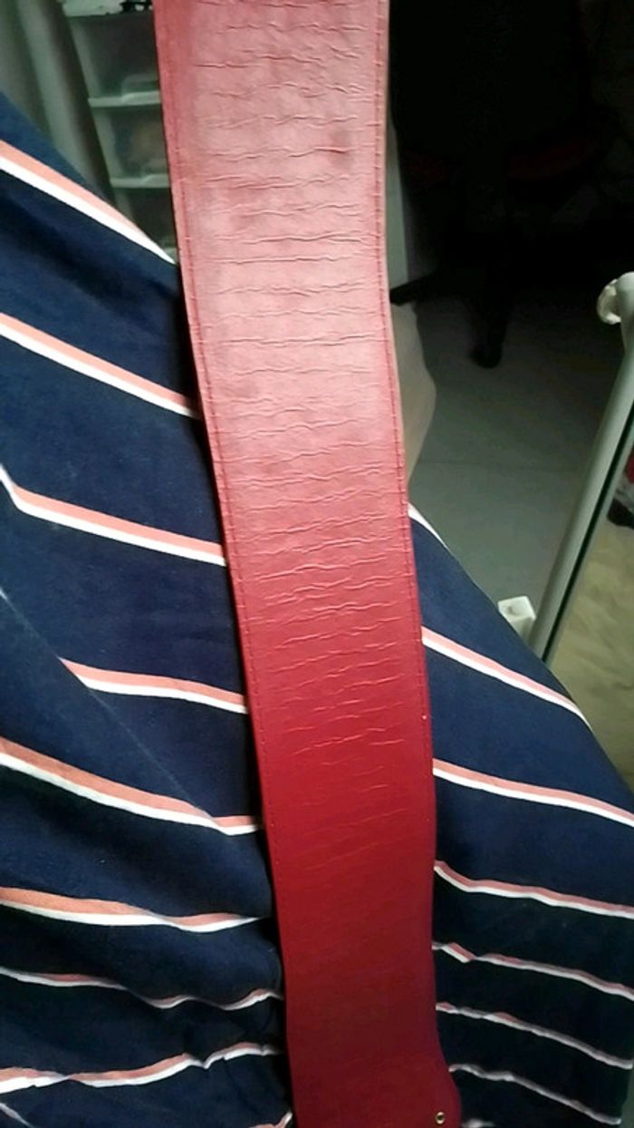 Large ceinture - photo numéro 6