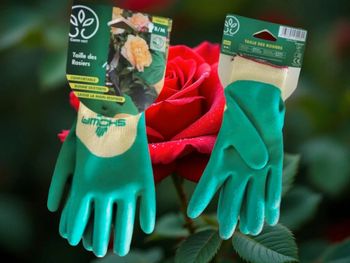 Lot de 2 paires de gants pour tailler les rosiers - Taille M - GammVert