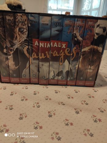 Coffret de 10 cassettes vidéos sur les animaux sauvages