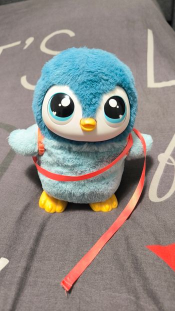 Little Live Pets

Pingouin