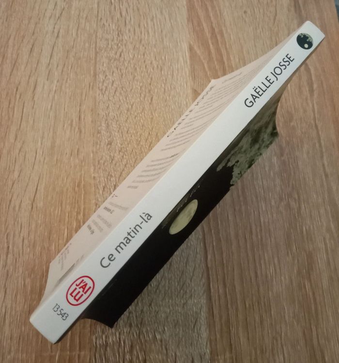 Gaëlle Josse 🪅 Ce matin-là - photo numéro 3