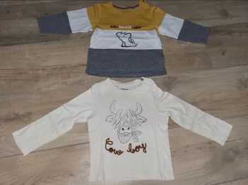 Lot 2 tee-shirt dinosaure et cow boy 2 ans