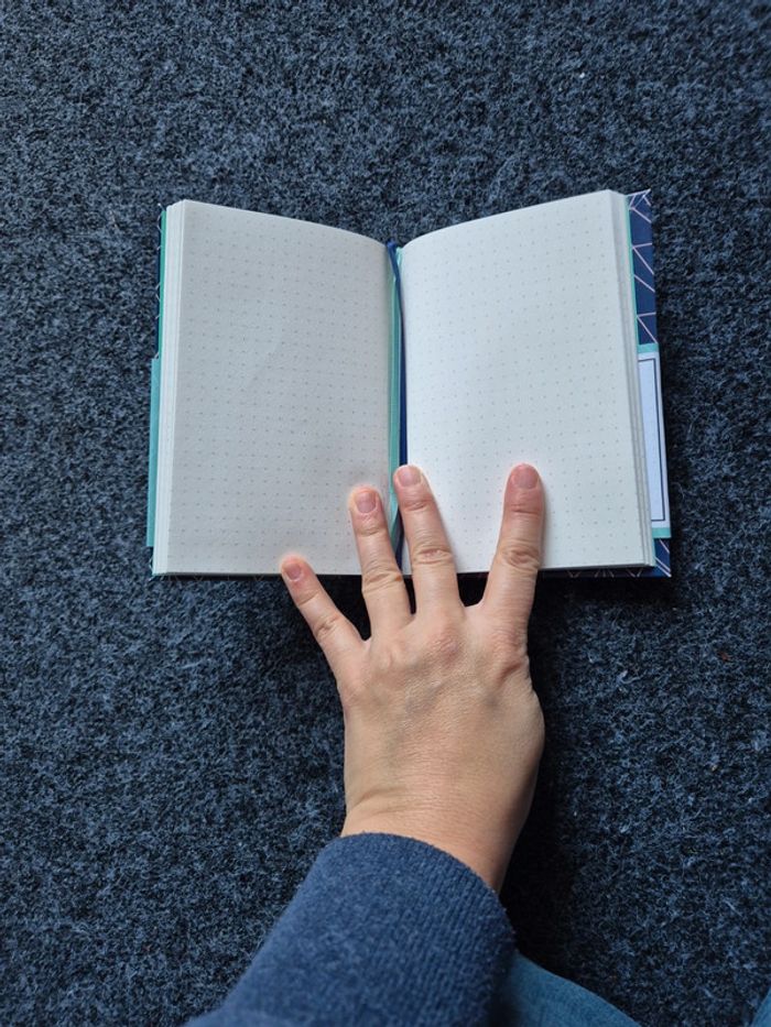 Bullet journal Action neuf - photo numéro 2