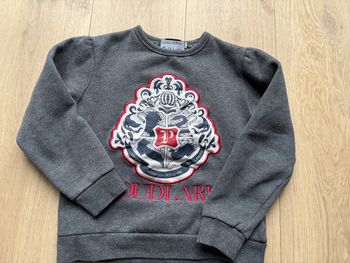 Pull Harry potter